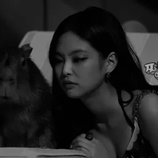 ♟️ Jennie Kim Jennie, Kim, BLACKPINK, chanteuse, K-pop, idole, célébrité telegram sticker