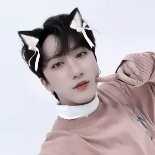 🎠 oreilles de chat, personne, rose, boucles d'oreilles, selfie telegram sticker