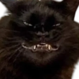 😈 cat, angry, creepy, animal, black cat, feline telegram sticker