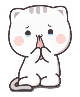 ⭐️ cat, cute, pleading, white, crying, cartoon, kawaii, sticker telegram sticker