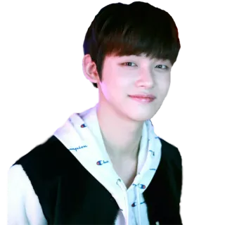 😊 persona, ragazzo, coreano, sorriso, campione, felpa con cappuccio telegram sticker