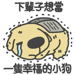 🐶 下辈子想当
一隻幸福的小狗 dog, sad, cute, animal, puppy, crying telegram sticker