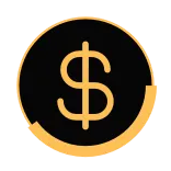 💸