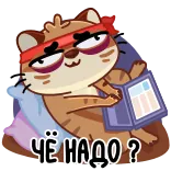 🤨 ЧЁ НАДО? mèo, nhãn dán, phim hoạt hình, nga, động vật, máy tính xách tay whatsapp sticker
