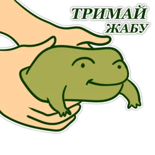 ☺️ ТРИМАЙ ЖАБУ frog, cute, funny, animal telegram sticker