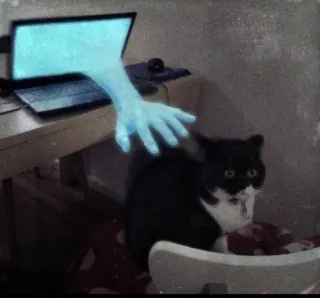 👻 cat, laptop, hand, pet, animal, domestic cat telegram sticker