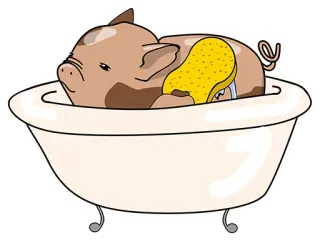 👍 cerdo, bañera, baño, animal, lindo, limpio, esponja whatsapp sticker