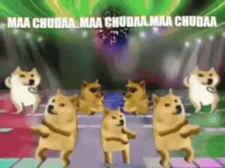 🤙 MAA CHUDAA MAA CHUDAA MAA CHUDAA doge, taniec, mem, obraźliwe, psy, śmieszne, zwierzęta, disco telegram sticker