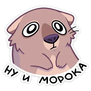 😓 НУ И МОРОКА Desenho animado, Animal, Fofo, Adesivo, Russo, Texto, Engraçado telegram sticker