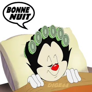 🛌 Dot Warner Animaniacs BONNE NUIT dibujos animados, dormido, buenas noches, rulos, almohada, manta telegram sticker