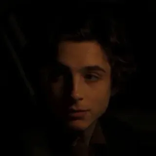 😕 Timothée Chalamet ator, celebridade, retrato, homem telegram sticker