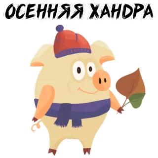 ☕ ОСЕННЯЯ ХАНДРА 돼지, 가을, 가을, 잎, 모자, 머플러, 계절 whatsapp sticker