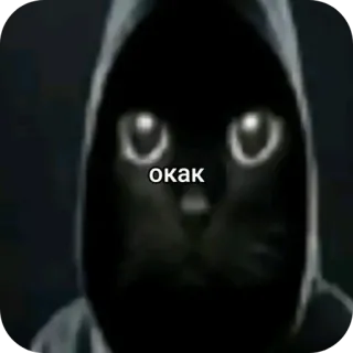 🔥 окак chat, sweat à capuche, sombre, mème, animal, drôle telegram sticker