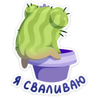 🚶‍♂ Я СВАЛИВАЮ cacto, engraçado, planta, partida, vaso whatsapp sticker