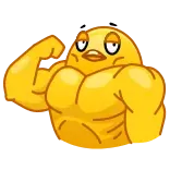 🐤