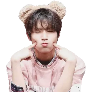 😚 mono, kpop, idol, chico, orejas, esponjoso, retrato, cantante whatsapp sticker