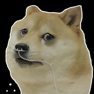 😔 Doge hond, meme, verdrietig, dier telegram sticker