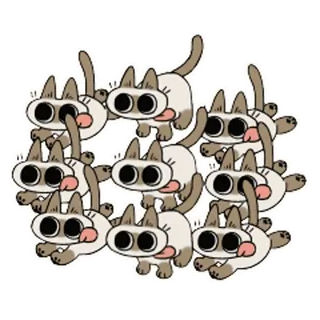 🏃‍♂️ cat, cats, siamese, sticker, funny, cute telegram sticker