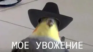 👍 МОЕ УВОЖЕНИЕ telegram sticker