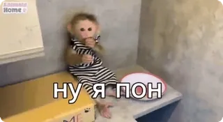 🤣 НУ Я ПОН scimmia, divertente, animale, carino, meme, russo whatsapp sticker