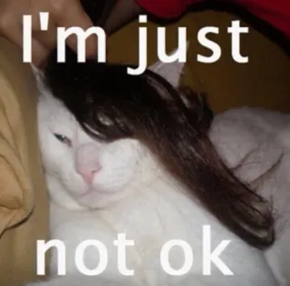 ☹️ I'm just not ok cat, funny, sad, meme, pet, animal whatsapp sticker