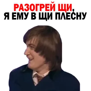 🍲 РАЗОГРЕЙ ЩИ, Я ЕМУ В ЩИ ПЛЕСНУ whatsapp sticker