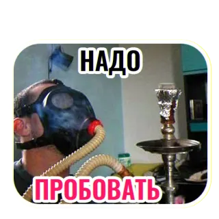 🤔 НАДО
ПРОБОВАТЬ narguilé, fumar, máscara de gás, russo, experimento, shisha telegram sticker