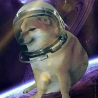 🐕 Doge doge, astronaut, space, meme, dog, helmet telegram sticker