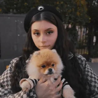 🐶 женщина, собака, берет, портрет, померанский шпиц, милый, питомец, женский telegram sticker