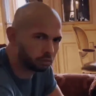 🌟 Andrew Tate man, bald, portrait, controversial, influencer whatsapp sticker