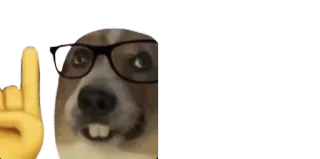 🤓 dog, glasses, emoji, pointing, funny, animal telegram sticker