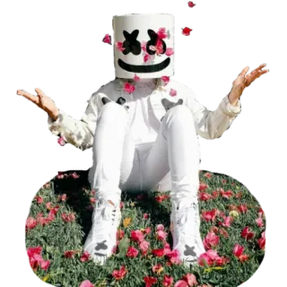 🌹 Marshmello DJ, music, Marshmello, mask, celebrity telegram sticker