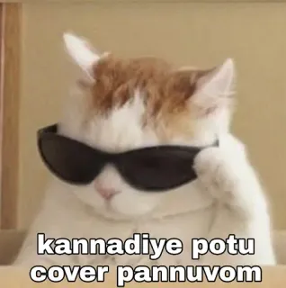 😎 kannadiye potu cover pannuvom gato, óculos de sol, meme, legal, animal telegram sticker
