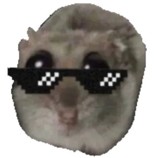 😎 Sad Hamster hamster, sad hamster, meme, deal with it, thug life, sunglasses, cute telegram sticker