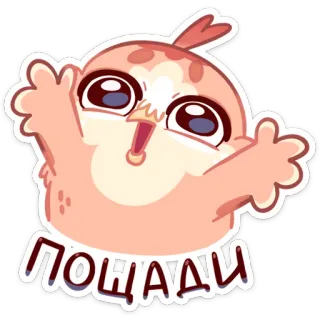 😯 ПОЩАДИ oiseau, mignon, suppliant, dessin animé, autocollant, implorant whatsapp sticker