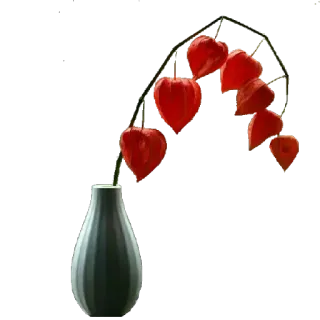 🌸 cây, bình hoa, hoa, tĩnh vật telegram sticker