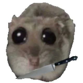 🔪 햄스터, 칼, 밈, 동물, 귀여운, 설치류, 유머 whatsapp sticker