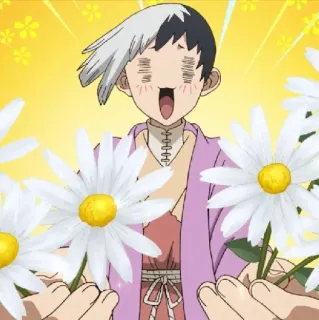 💈 Senku Ishigami Dr. Stone Anime, Blumen, Fröhlich, Senku, Dr. Stone telegram sticker
