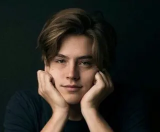 ❄️ pessoa, retrato, foto de rosto, homem, ator telegram sticker