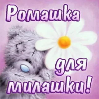 🌸 Ромашка для милашки! beruang, bunga, imut, romantis, stiker, selamat, salam telegram sticker