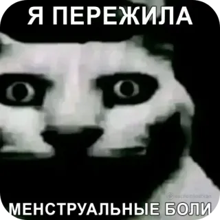 Больше стиков тут: @stikery4 telegram stickers