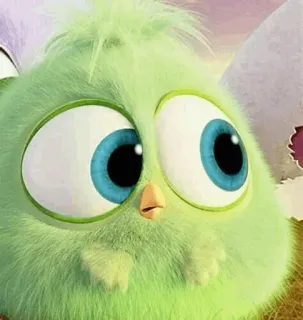 Angry Birds  ` @Sicotalk telegram stickers