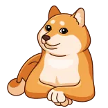 🙄 Doge dog, shiba inu, meme, internet, animal whatsapp sticker