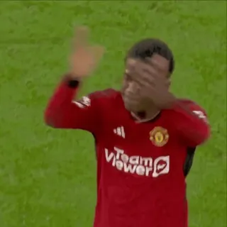 🔵 Kobbie Mainoo Manchester United Team Viewer whatsapp sticker