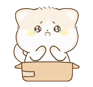 🥺 милый, грустный, животное, кот, коробка, плачет, наклейка, одинокий whatsapp sticker