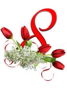 🌷 Blume, Tulpe, Blumenmuster, Rot, Frühling, Strauß telegram sticker