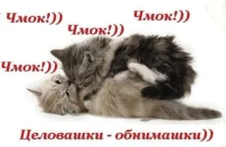 ❤️ Чмок!)) Чмокашки - обнимашки)) telegram sticker