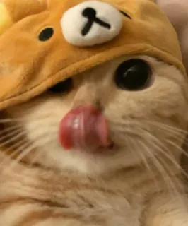 😂 chat, Rilakkuma, animal, animal de compagnie, langue, mignon telegram sticker