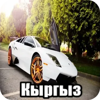 🚗 Кыргыз whatsapp sticker