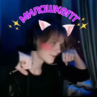 🐈 милaшкeгггг cat ears, cute, kawaii, stars telegram sticker